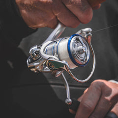Daiwa Procyon MQ LT Spinning Reel
