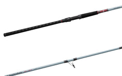 Daiwa Team Daiwa Spinning Surf Rods